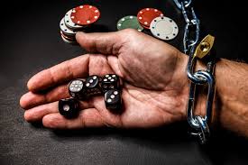 Как войти на сайт Casino Cat